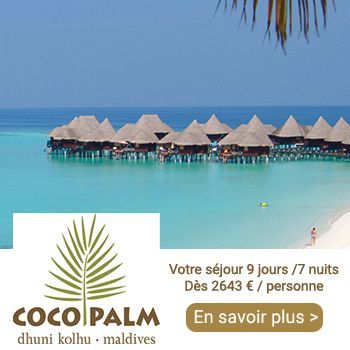 coco-palm dhuni kolhu